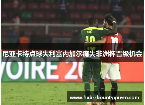 尼亚卡特点球失利塞内加尔痛失非洲杯晋级机会 尼亚卡特点球失利塞内加尔痛失非洲杯晋级机会